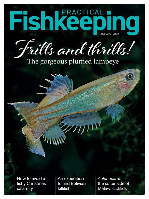 Title details for Practical Fishkeeping by Warners Group Publications Plc - Available